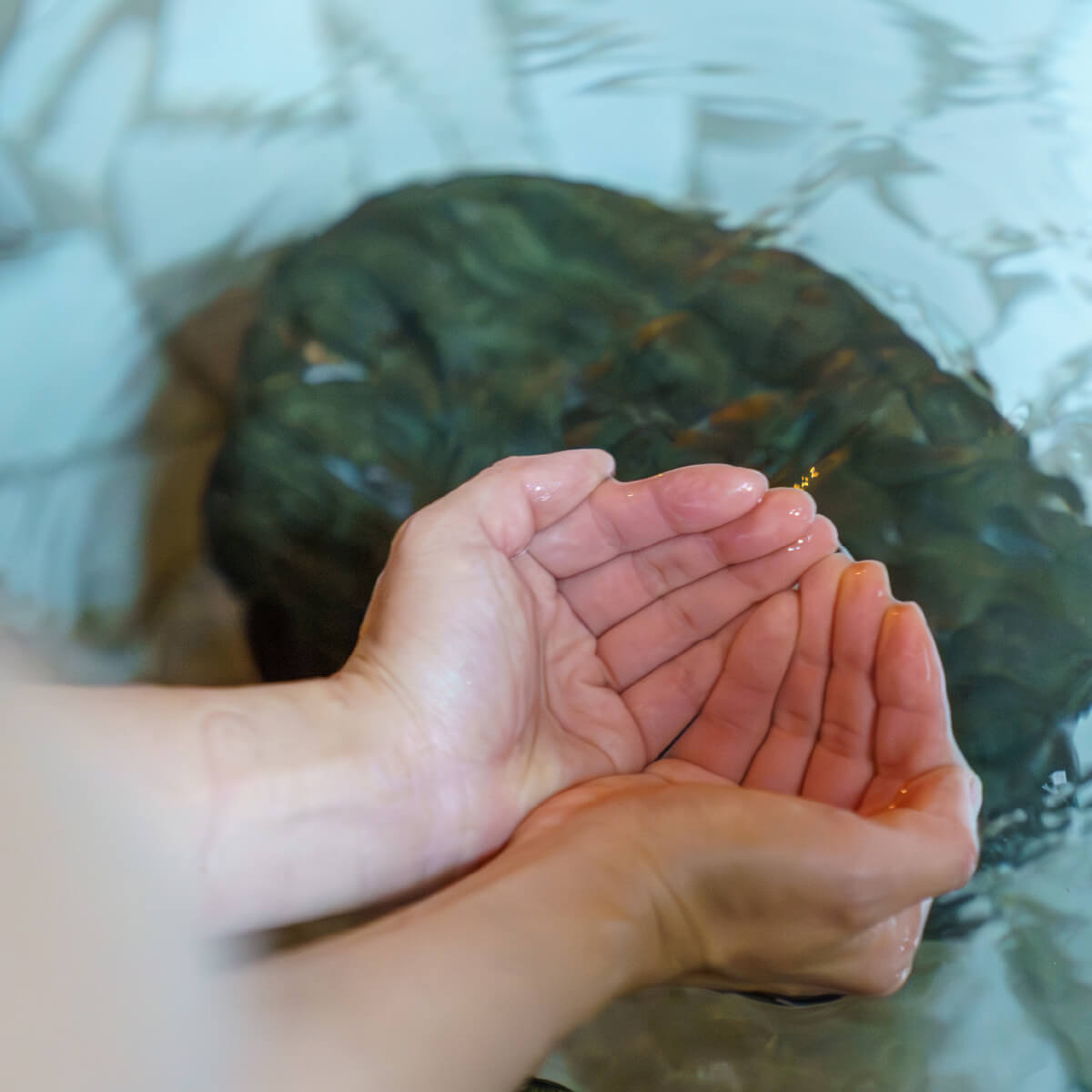 カドヤ別荘の温泉の湯をすくう手